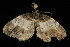  ( - DNA-ATBI-2246)  @13 [ ] CreativeCommons - Attribution (2010) Unspecified Centre for Biodiversity Genomics