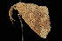  ( - DNA-ATBI-2249)  @12 [ ] CreativeCommons - Attribution (2010) Unspecified Centre for Biodiversity Genomics