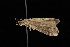  ( - DNA-ATBI-2273)  @13 [ ] CreativeCommons - Attribution (2010) Unspecified Centre for Biodiversity Genomics