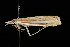  ( - DNA-ATBI-2327)  @13 [ ] CreativeCommons - Attribution (2010) Unspecified Centre for Biodiversity Genomics