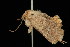  ( - DNA-ATBI-2399)  @13 [ ] CreativeCommons - Attribution (2010) Unspecified Centre for Biodiversity Genomics