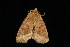  ( - DNA-ATBI-2486)  @13 [ ] CreativeCommons - Attribution (2010) Unspecified Centre for Biodiversity Genomics