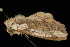  ( - DNA-ATBI-2576)  @13 [ ] CreativeCommons - Attribution (2010) Unspecified Centre for Biodiversity Genomics