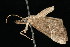  ( - DNA-ATBI-2655)  @12 [ ] CreativeCommons - Attribution (2010) Unspecified Centre for Biodiversity Genomics