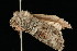  ( - DNA-ATBI-2686)  @12 [ ] CreativeCommons - Attribution (2010) Unspecified Centre for Biodiversity Genomics