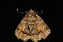  ( - DNA-ATBI-2897)  @13 [ ] CreativeCommons - Attribution (2010) Unspecified Centre for Biodiversity Genomics