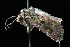  ( - DNA-ATBI-2444)  @14 [ ] CreativeCommons - Attribution (2010) Unspecified Centre for Biodiversity Genomics