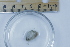  ( - BIOUG-48552-C02)  @11 [ ] Creative Commons - Attribution Non-Commercial Share-Alike  (2021) Jessica Schultz University of Guelph