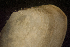  ( - BIOUG-48552-C03)  @11 [ ] Creative Commons - Attribution Non-Commercial Share-Alike  (2021) Jessica Schultz University of Guelph