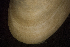  ( - BIOUG-48552-C03)  @11 [ ] Creative Commons - Attribution Non-Commercial Share-Alike  (2021) Jessica Schultz University of Guelph