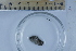  ( - BIOUG-48552-D04)  @11 [ ] Creative Commons - Attribution Non-Commercial Share-Alike  (2021) Jessica Schultz University of Guelph