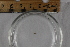  ( - BIOUG-48552-G03)  @11 [ ] Creative Commons - Attribution Non-Commercial Share-Alike  (2021) Jessica Schultz University of Guelph