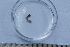  ( - BIOUG-48553-B06)  @11 [ ] Creative Commons - Attribution Non-Commercial Share-Alike  (2021) Jessica Schultz University of Guelph