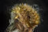  ( - BIOUG-48553-B06)  @11 [ ] Creative Commons - Attribution Non-Commercial Share-Alike  (2021) Jessica Schultz University of Guelph