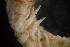  ( - BIOUG-48553-B06)  @11 [ ] Creative Commons - Attribution Non-Commercial Share-Alike  (2021) Jessica Schultz University of Guelph