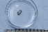  ( - BIOUG-48553-B07)  @11 [ ] Creative Commons - Attribution Non-Commercial Share-Alike  (2021) Jessica Schultz University of Guelph