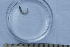 ( - BIOUG-48553-B08)  @11 [ ] Creative Commons - Attribution Non-Commercial Share-Alike  (2021) Jessica Schultz University of Guelph