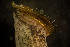  ( - BIOUG-48553-B08)  @11 [ ] Creative Commons - Attribution Non-Commercial Share-Alike  (2021) Jessica Schultz University of Guelph