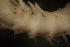  ( - BIOUG-48553-B08)  @11 [ ] Creative Commons - Attribution Non-Commercial Share-Alike  (2021) Jessica Schultz University of Guelph