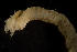  ( - BIOUG-48553-D05)  @11 [ ] Creative Commons - Attribution Non-Commercial Share-Alike  (2021) Jessica Schultz University of Guelph