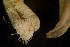  ( - BIOUG-48553-D07)  @11 [ ] Creative Commons - Attribution Non-Commercial Share-Alike  (2021) Jessica Schultz University of Guelph