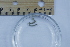  ( - BIOUG-48553-D08)  @11 [ ] Creative Commons - Attribution Non-Commercial Share-Alike  (2021) Jessica Schultz University of Guelph