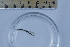  ( - BIOUG-48553-H04)  @11 [ ] Creative Commons - Attribution Non-Commercial Share-Alike  (2021) Jessica Schultz University of Guelph