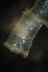  ( - BIOUG-48553-H04)  @11 [ ] Creative Commons - Attribution Non-Commercial Share-Alike  (2021) Jessica Schultz University of Guelph