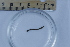  ( - BIOUG-48553-H05)  @11 [ ] Creative Commons - Attribution Non-Commercial Share-Alike  (2021) Jessica Schultz University of Guelph