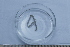  ( - BIOUG-48554-E05)  @11 [ ] Creative Commons - Attribution Non-Commercial Share-Alike  (2021) Jessica Schultz University of Guelph