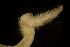  ( - BIOUG-48554-F02)  @11 [ ] Creative Commons - Attribution Non-Commercial Share-Alike  (2021) Jessica Schultz University of Guelph