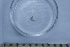 ( - BIOUG-48554-F08)  @11 [ ] Creative Commons - Attribution Non-Commercial Share-Alike  (2021) Jessica Schultz University of Guelph