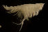  ( - CCDB-31224-A04)  @11 [ ] Creative Commons - Attribution Non-Commercial Share-Alike  (2021) Jessica Schultz University of Guelph