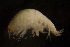 ( - CCDB-31224-A05)  @11 [ ] Creative Commons - Attribution Non-Commercial Share-Alike  (2021) Jessica Schultz University of Guelph