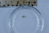  ( - CCDB-31224-A05)  @11 [ ] Creative Commons - Attribution Non-Commercial Share-Alike  (2021) Jessica Schultz University of Guelph