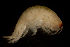  ( - CCDB-31224-A08)  @11 [ ] Creative Commons - Attribution Non-Commercial Share-Alike  (2021) Jessica Schultz University of Guelph