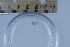  ( - CCDB-31224-A08)  @11 [ ] Creative Commons - Attribution Non-Commercial Share-Alike  (2021) Jessica Schultz University of Guelph