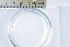  ( - CCDB-31224-B07)  @11 [ ] Creative Commons - Attribution Non-Commercial Share-Alike  (2021) Jessica Schultz University of Guelph