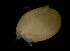  ( - CCDB-31224-B07)  @11 [ ] Creative Commons - Attribution Non-Commercial Share-Alike  (2021) Jessica Schultz University of Guelph