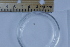  ( - CCDB-31224-B08)  @11 [ ] Creative Commons - Attribution Non-Commercial Share-Alike  (2021) Jessica Schultz University of Guelph