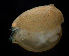  ( - CCDB-31224-B09)  @11 [ ] Creative Commons - Attribution Non-Commercial Share-Alike  (2021) Jessica Schultz University of Guelph