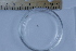  ( - CCDB-31224-B09)  @11 [ ] Creative Commons - Attribution Non-Commercial Share-Alike  (2021) Jessica Schultz University of Guelph