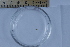  ( - CCDB-31224-B10)  @11 [ ] Creative Commons - Attribution Non-Commercial Share-Alike  (2021) Jessica Schultz University of Guelph