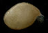  ( - CCDB-31224-B11)  @11 [ ] Creative Commons - Attribution Non-Commercial Share-Alike  (2021) Jessica Schultz University of Guelph