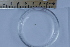  ( - CCDB-31224-B11)  @11 [ ] Creative Commons - Attribution Non-Commercial Share-Alike  (2021) Jessica Schultz University of Guelph
