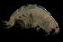  ( - CCDB-31224-C10)  @11 [ ] Creative Commons - Attribution Non-Commercial Share-Alike  (2021) Jessica Schultz University of Guelph