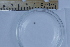  ( - CCDB-31224-E05)  @11 [ ] Creative Commons - Attribution Non-Commercial Share-Alike  (2021) Jessica Schultz University of Guelph