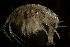  ( - CCDB-31224-E06)  @11 [ ] Creative Commons - Attribution Non-Commercial Share-Alike  (2021) Jessica Schultz University of Guelph