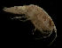  ( - CCDB-31224-E07)  @11 [ ] Creative Commons - Attribution Non-Commercial Share-Alike  (2021) Jessica Schultz University of Guelph