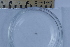  ( - CCDB-31224-E08)  @11 [ ] Creative Commons - Attribution Non-Commercial Share-Alike  (2021) Jessica Schultz University of Guelph